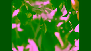 ROUVY Keep your summer going Ad Commercial Brand Imagery Photoshoot 1