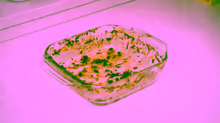 Fairy NEW Fairy Skip the Soak Power Spray Ad Commercial Brand Imagery Photoshoot 0