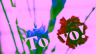 Visit Tokyo Do Tokyo IKebana flower arranging in Tokyo Ad Commercial Brand Imagery Photoshoot 0