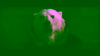 MGM Studios WISH LIFT CUTDOWN REVISED 30 ONLY IN THEATERS NOVEMBER 15 Ad Commercial Brand Imagery Photoshoot 1