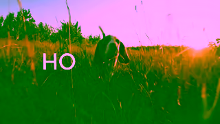 HOSEASONS Say hi to a Hoseasons break Ad Commercial Brand Imagery Photoshoot 0