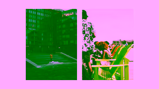 Discover Halifax Discover Halifax Salt Ad Commercial Brand Imagery Photoshoot 2