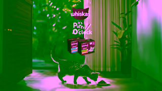Whiskas WHISKAS Purrrs oClock What it Takes 15 Ad Commercial Brand Imagery Photoshoot 2