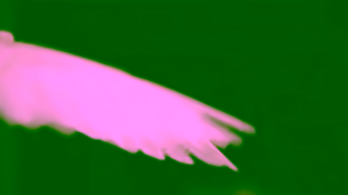 Aflac Video Ad Ad Commercial Brand Imagery Photoshoot 1