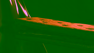 Arnott's ArnottsPRADA CafeLatte AUNZ 6s 16x9 ONLINE 2025Update V01 Ad Commercial Brand Imagery Photoshoot 0