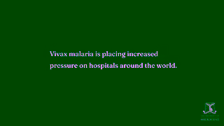 University Of Melbourne Advancing biostatistics for a changing world Megha Ad Commercial Brand Imagery Photoshoot 0