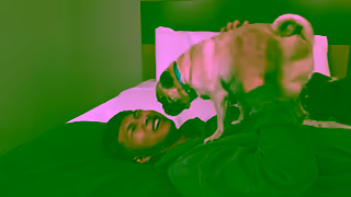 Motel 6 Viajando Por Carretera Con Mascotas Ad Commercial Brand Imagery Photoshoot 2