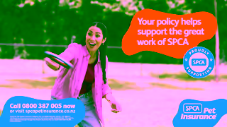 SPCA SPCA Pet Insurance Dog Park TV Ad 30 Sec Ad Commercial Brand Imagery Photoshoot 1