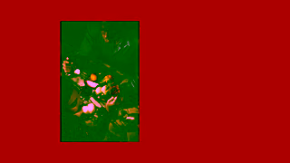 OpenTable OpenTable Find Your Spot Ad Commercial Brand Imagery Photoshoot 1