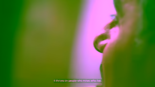 Francis Kurkdjian APOM A part of me Ad Commercial Brand Imagery Photoshoot 1