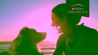 Purina Pro Plan Fuel your incredible life together Ad Commercial Brand Imagery Photoshoot 0