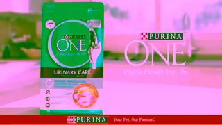 Purina Purina ONE Immune Defence Plus 15 Ad Commercial Brand Imagery Photoshoot 2