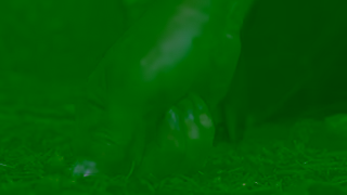 StorageMart Make Room for The Bear 15 Sec Ad Commercial Brand Imagery Photoshoot 1