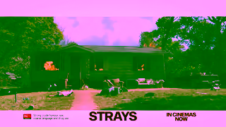 Universal Pictures Strays August 17 Ad Commercial Brand Imagery Photoshoot 1