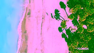 Visit Florida HighResSocial Families2022 SoundOfLove 16X9 6 MP4 mp4 Ad Commercial Brand Imagery Photoshoot 0