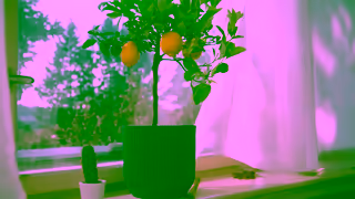 ROUVY Keep Your Summer Going on ROUVY Ad Commercial Brand Imagery Photoshoot 0