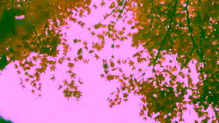 Hire Taxi Japan Fuji tour AW with HireTaxiJapan 30 sec version Ad Commercial Brand Imagery Photoshoot 0