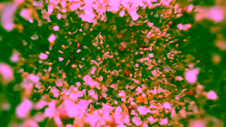 ClubHouse Club House La Grille Flavour is Calling Ad Commercial Brand Imagery Photoshoot 1