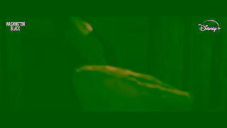 Disney Washington Black Streaming July 23 on Disney Ad Commercial Brand Imagery Photoshoot 0