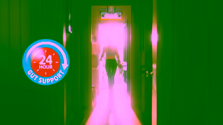 INNER HEALTH 16 Benefits In One Advanced Spectrum Probiotic from Inner Health Ad Commercial Brand Imagery Photoshoot 2