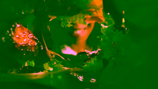 Old El Paso Old El Paso The Mix Makes It Ad Commercial Brand Imagery Photoshoot 1