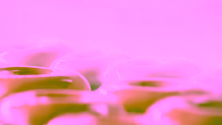 Krispy Kreme What brings you into Krispy Kreme Ad Commercial Brand Imagery Photoshoot 1