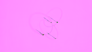 Cartier Trinity Linked by Universality Ad Commercial Brand Imagery Photoshoot 2