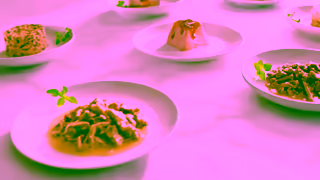 Purina Purina Gourmet Portfolio Ad Commercial Brand Imagery Photoshoot 1