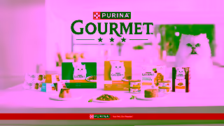 Purina Purina Gourmet Portfolio Ad Commercial Brand Imagery Photoshoot 2