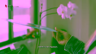 Bank Australia Jack River is using her platform to advocate for climate action How to Change the World Ad Commercial Brand Imagery Photoshoot 1