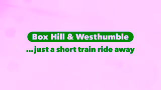 Southern Railway Summer Campaign Southern Days Out SN 2025 16x9 Ad Commercial Brand Imagery Photoshoot 2