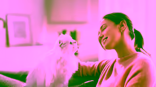 Purina Try Gourmet Revelations Fine Cuts in Gele Ad Commercial Brand Imagery Photoshoot 2