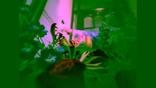 Interflora Interflora Say More TV Ad 10 Trailer Ad Commercial Brand Imagery Photoshoot 2