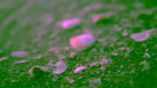 Celestyal Cruises Breathe in the World with Celestyal Cruises Greek Island Cruises Greece Travel Mediterranean Ad Commercial Brand Imagery Photoshoot 0