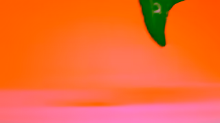 On Running On Gifts for everyday runners Ad Commercial Brand Imagery Photoshoot 1