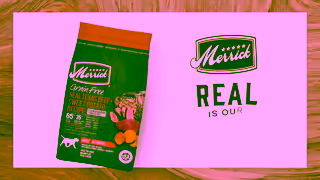Merrick Pet Care Feed Them Real Ad Commercial Brand Imagery Photoshoot 2