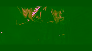 Real Canadian Superstore Real Canadian Superstore Bringing the Magic of the Holidays with the Moose Ad Commercial Brand Imagery Photoshoot 1