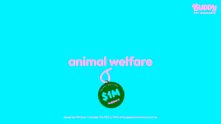 Buddy Pet Insurance H9910 Buddy 15sec Asset02 Youtube Ad Commercial Brand Imagery Photoshoot 1