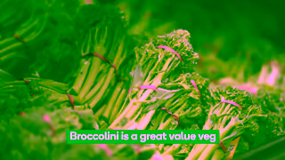 Woolworths This Weeks Fresh Market Update with Woolworths Ad Commercial Brand Imagery Photoshoot 1