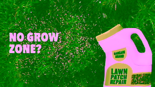 Scotts Scotts ez seed Patch Repair Ad Commercial Brand Imagery Photoshoot 0