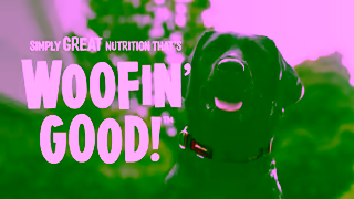 Coles Woofin Good Chicken Meatballs Ad Commercial Brand Imagery Photoshoot 0