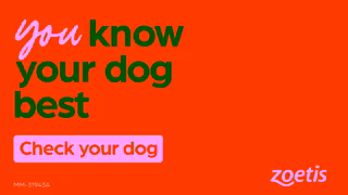 Zoetis AUS spot the first signs of OA in your Dog Ad Commercial Brand Imagery Photoshoot 2