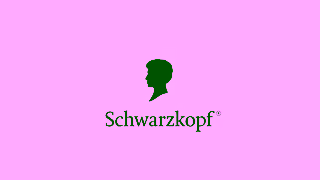 Schwarzkopf Dare to go blonde with Schwarzkopf Keratin Blonde Ad Commercial Brand Imagery Photoshoot 2