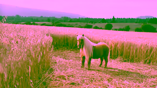 ELF Cosmetics Halo Glow Liquid Filter Not a OneTrick Pony 15 Version Ad Commercial Brand Imagery Photoshoot 1