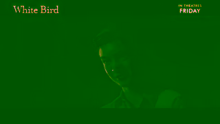 Cineplex Pictures WHITE BIRD In theatres Friday Cineplex Pictures Ad Commercial Brand Imagery Photoshoot 0