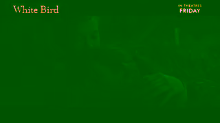 Cineplex Pictures WHITE BIRD In theatres Friday Cineplex Pictures Ad Commercial Brand Imagery Photoshoot 2