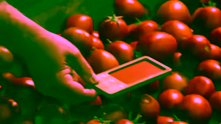 Heinz Ya rien comme du HEINZmatre de la tomate Ad Commercial Brand Imagery Photoshoot 0