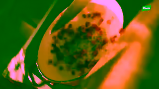 Knorr Knorr Poppy Brand FlavorEase15 16x9 YouTube Ad Commercial Brand Imagery Photoshoot 1