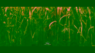 Disney What If Disney Ad Commercial Brand Imagery Photoshoot 0