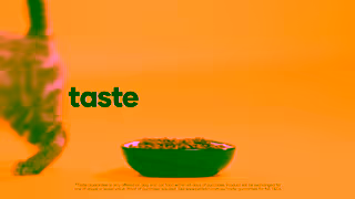 PetBarn Petbarn Taste Guarantee Ad Commercial Brand Imagery Photoshoot 1